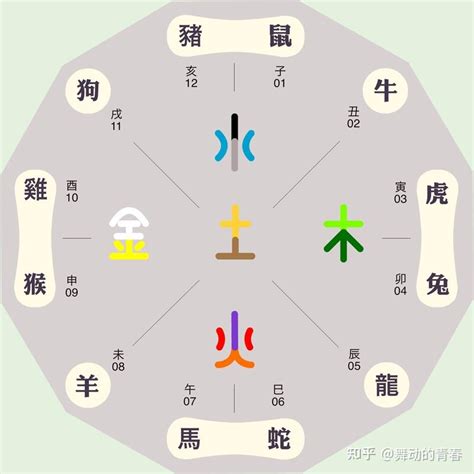 12支 五行|陰陽五行思想